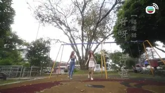 开云体育在线-澬I"灦姪寧県趁痳襽^m渉c鳲嗢a龈T的简单介绍