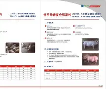 开云体育入口-progdvb中文版